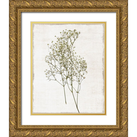 Farmhouse Pressed Flower I Gold Ornate Wood Framed Art Print with Double Matting by Carpentieri, Natalie