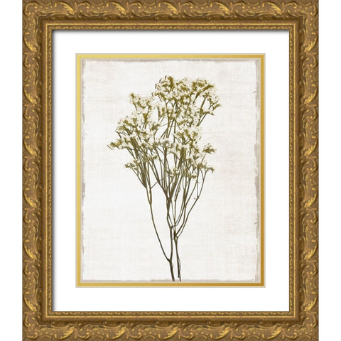 Farmhouse Pressed Flower II Gold Ornate Wood Framed Art Print with Double Matting by Carpentieri, Natalie