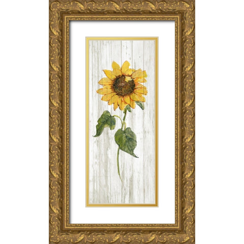 Sunflower in Autumn II Gold Ornate Wood Framed Art Print with Double Matting by Swatland, Sally