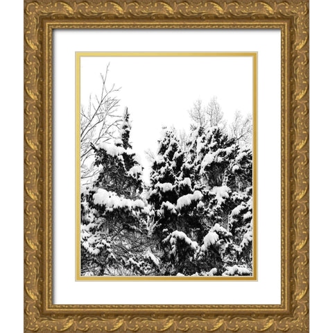 Wintery Dreams I Gold Ornate Wood Framed Art Print with Double Matting by Carpentieri, Natalie