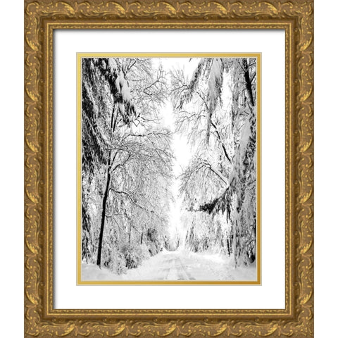 Wintery Dreams Path Gold Ornate Wood Framed Art Print with Double Matting by Carpentieri, Natalie