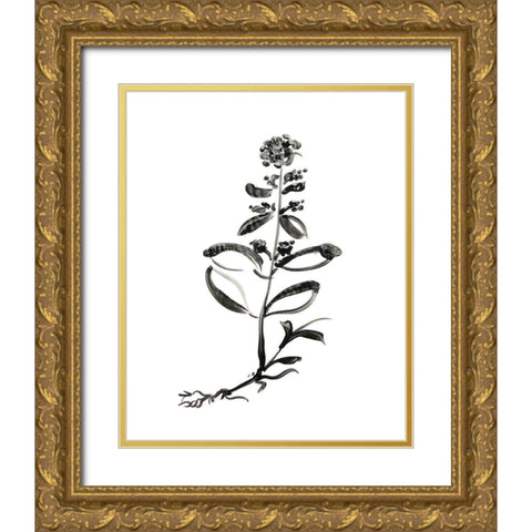 Inky Botanical III Gold Ornate Wood Framed Art Print with Double Matting by Donovan, Kelly