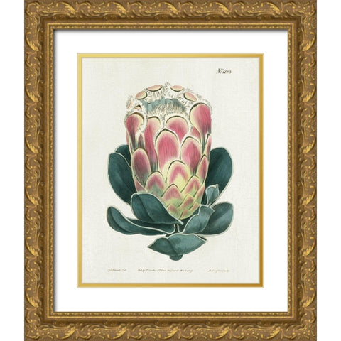 Protea N83 Gold Ornate Wood Framed Art Print with Double Matting by Donovan, Kelly