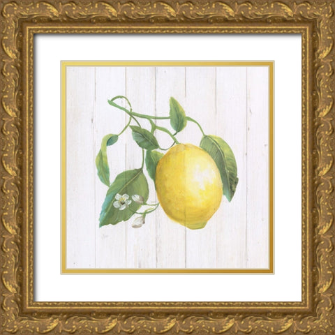 Lemon Fresh I Gold Ornate Wood Framed Art Print with Double Matting by Nan