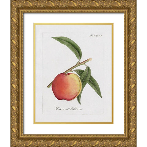 Peachy Keen I Gold Ornate Wood Framed Art Print with Double Matting by Donovan, Kelly