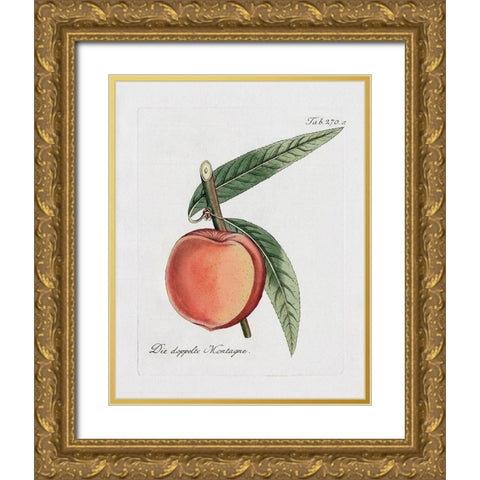 Peachy Keen II Gold Ornate Wood Framed Art Print with Double Matting by Donovan, Kelly