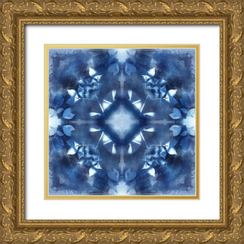 Navy Nature Kaleidoscope II Gold Ornate Wood Framed Art Print with Double Matting by Nan
