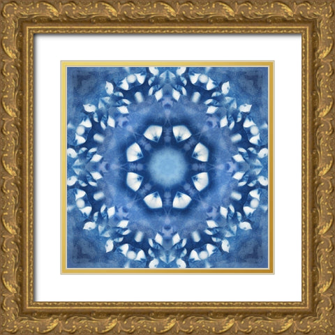 Navy Nature Kaleidoscope III Gold Ornate Wood Framed Art Print with Double Matting by Nan