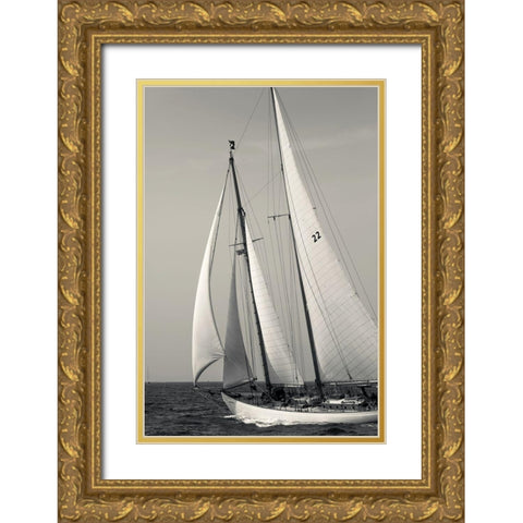 Fair Wind Gold Ornate Wood Framed Art Print with Double Matting by Delimont, Danita