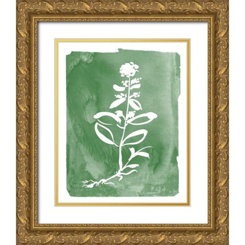 Green Botanical III Gold Ornate Wood Framed Art Print with Double Matting by Donovan, Kelly
