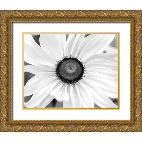 Blooming Sunshine Gold Ornate Wood Framed Art Print with Double Matting by Delimont, Danita