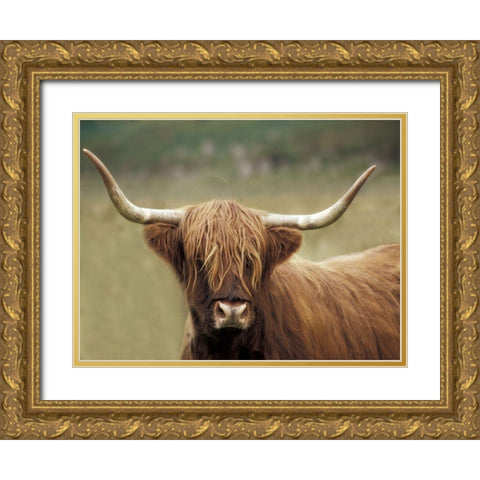 Highland Afternoon Gold Ornate Wood Framed Art Print with Double Matting by Delimont, Danita
