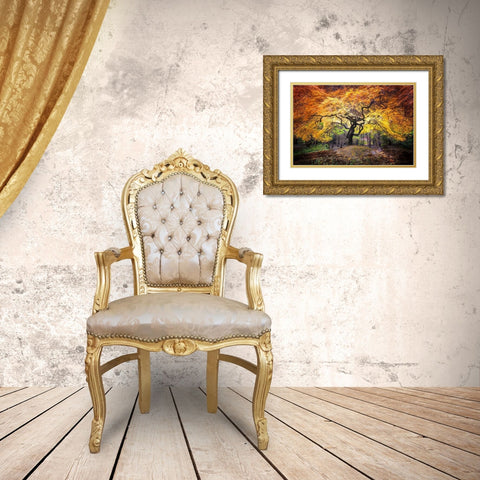 Hidden Jewel Gold Ornate Wood Framed Art Print with Double Matting by Delimont, Danita