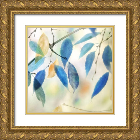 Colors for Joy II Gold Ornate Wood Framed Art Print with Double Matting by Weisz, Irene