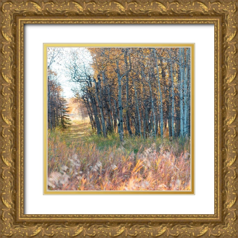 Sunlit Pathway Gold Ornate Wood Framed Art Print with Double Matting by Robinson, Carol