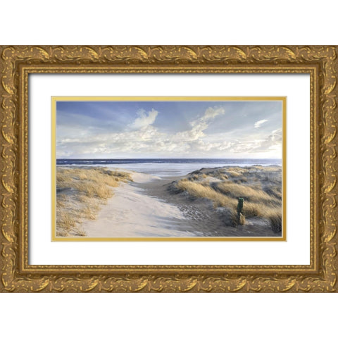 Aisle Marker Gold Ornate Wood Framed Art Print with Double Matting by Calascibetta, Mike
