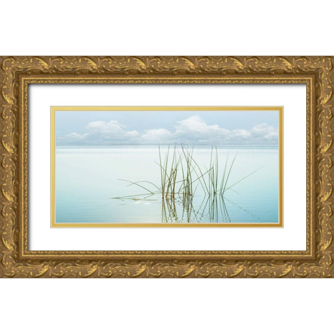 Reflections Gold Ornate Wood Framed Art Print with Double Matting by Calascibetta, Mike