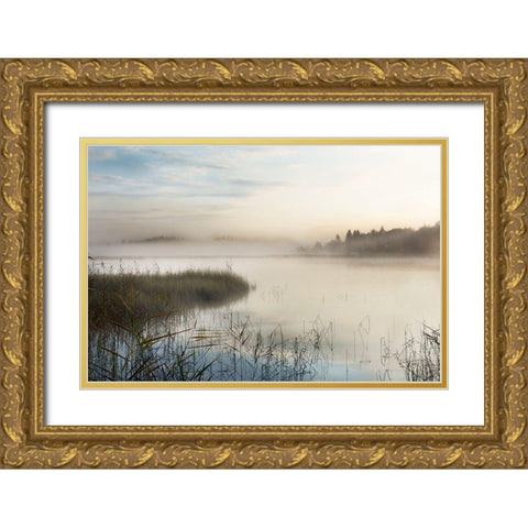 A New Day Gold Ornate Wood Framed Art Print with Double Matting by Weisz, Irene