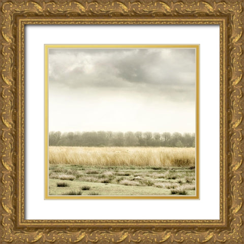 Meadowland Gold Ornate Wood Framed Art Print with Double Matting by Delimont, Danita