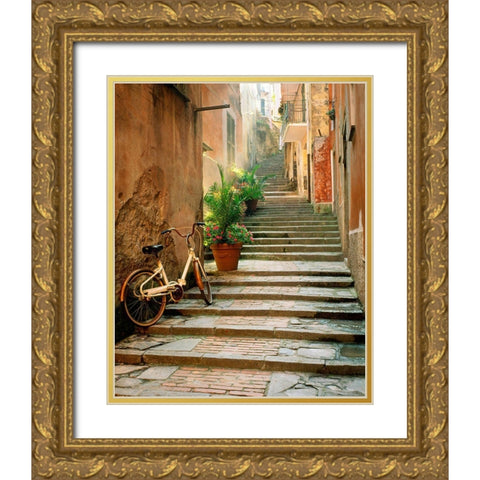 Cinque Terre Gold Ornate Wood Framed Art Print with Double Matting by Delimont, Danita