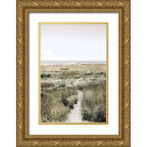 Footpath to Paradise Gold Ornate Wood Framed Art Print with Double Matting by Delimont, Danita