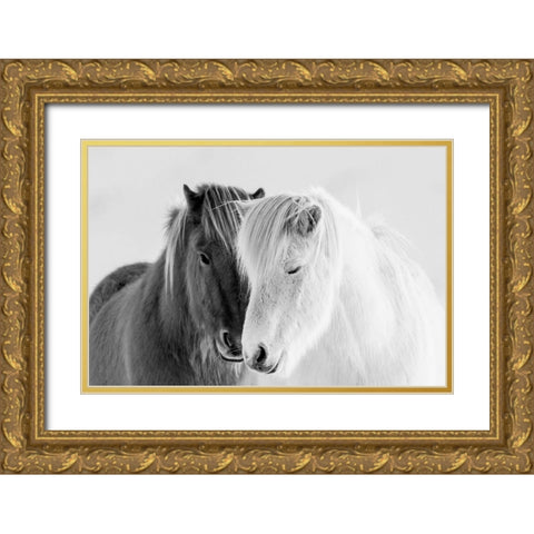 South Iceland Gold Ornate Wood Framed Art Print with Double Matting by Delimont, Danita