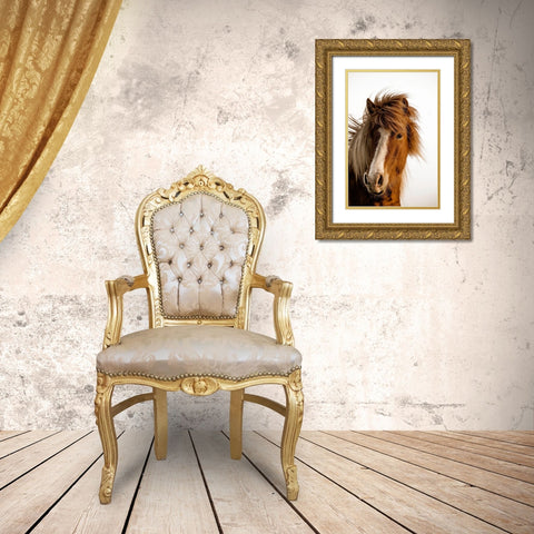 Sunset Light Gold Ornate Wood Framed Art Print with Double Matting by Delimont, Danita