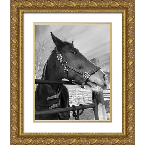 Bordeaux Gold Ornate Wood Framed Art Print with Double Matting by Jill, Susan