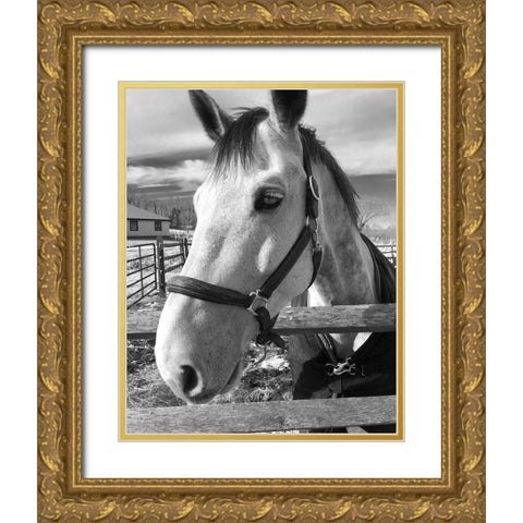 Dijon Gold Ornate Wood Framed Art Print with Double Matting by Jill, Susan