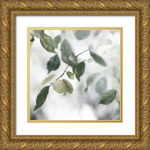 Quiet Green II Gold Ornate Wood Framed Art Print with Double Matting by Weisz, Irene