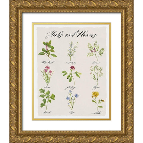 Herbs and Flowers Gold Ornate Wood Framed Art Print with Double Matting by Swatland, Sally