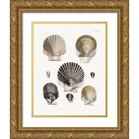 Vintage Shell I Gold Ornate Wood Framed Art Print with Double Matting by Donovan, Kelly
