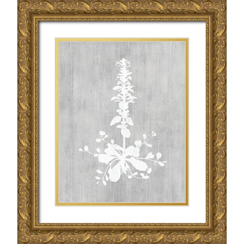 Botany Beauty II Gold Ornate Wood Framed Art Print with Double Matting by CAD Designs