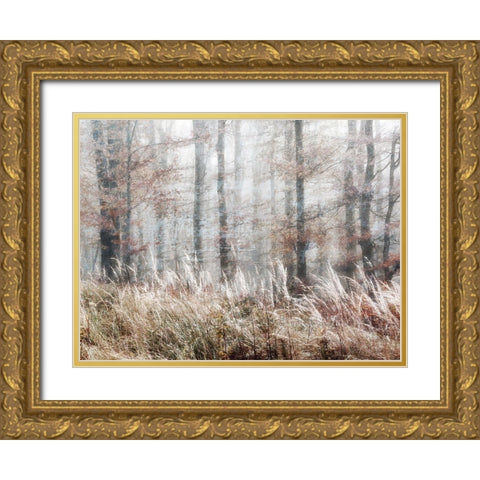 Always Magic in the Woods Gold Ornate Wood Framed Art Print with Double Matting by Weisz, Irene