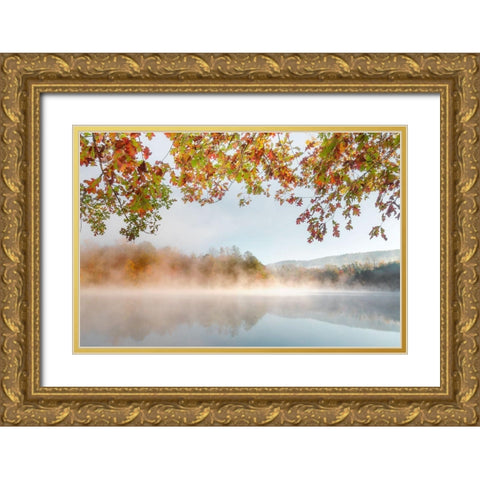 Autumn Misty Gold Ornate Wood Framed Art Print with Double Matting by Delimont, Danita