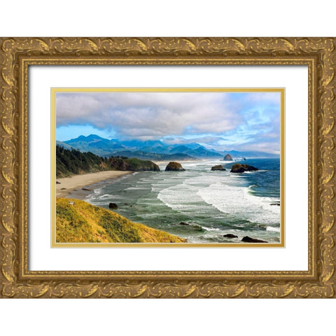 Canyon Beach Gold Ornate Wood Framed Art Print with Double Matting by Delimont, Danita