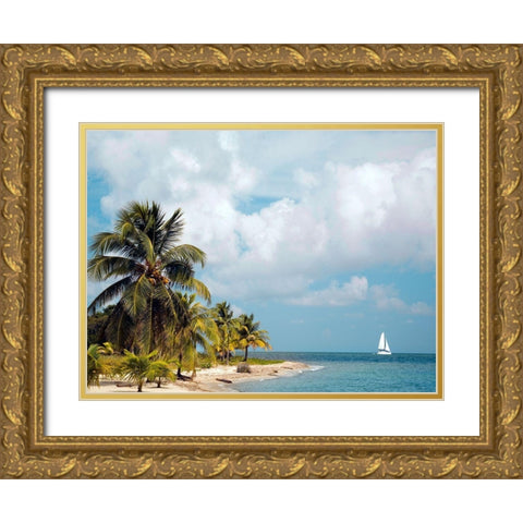 Caribbean Sea Gold Ornate Wood Framed Art Print with Double Matting by Delimont, Danita