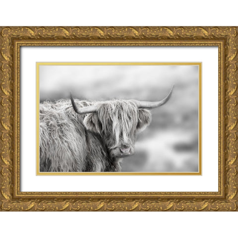 Roaming Isle of Skye Gold Ornate Wood Framed Art Print with Double Matting by Delimont, Danita
