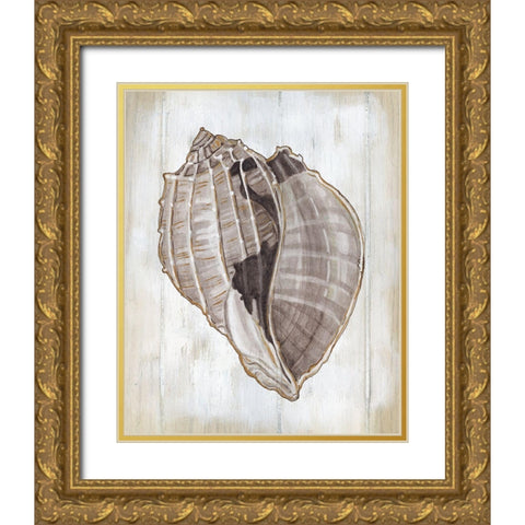 Ocean Cone II Gold Ornate Wood Framed Art Print with Double Matting by Robinson, Carol