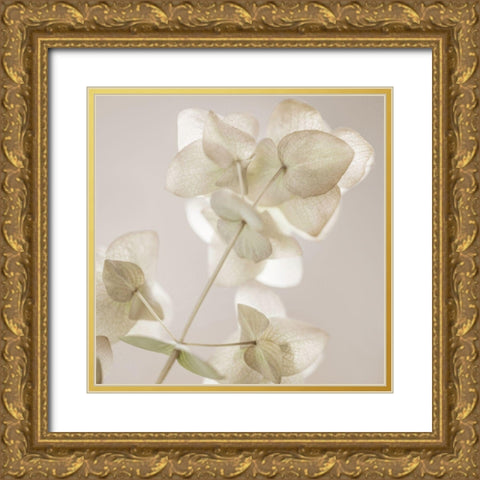 Soft Wild Bloom Gold Ornate Wood Framed Art Print with Double Matting by Delimont, Danita