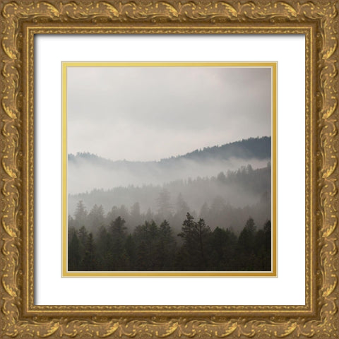 After Rain II Gold Ornate Wood Framed Art Print with Double Matting by Robinson, Carol