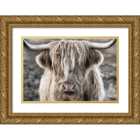 Highland Skye Gold Ornate Wood Framed Art Print with Double Matting by Delimont, Danita