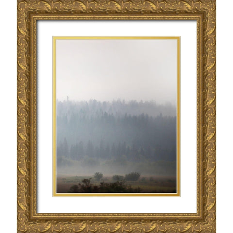Morning Glow I Gold Ornate Wood Framed Art Print with Double Matting by Robinson, Carol