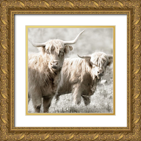Hairy Highland Bulls Gold Ornate Wood Framed Art Print with Double Matting by Delimont, Danita