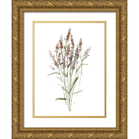 Dainty Botanical III Gold Ornate Wood Framed Art Print with Double Matting by Swatland, Sally