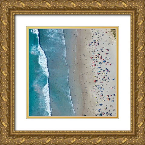 Aerial Beach Gold Ornate Wood Framed Art Print with Double Matting by Delimont, Danita