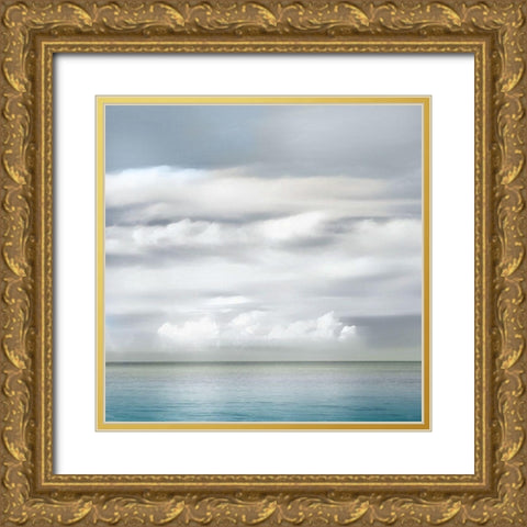 Open Water Gold Ornate Wood Framed Art Print with Double Matting by Calascibetta, Mike