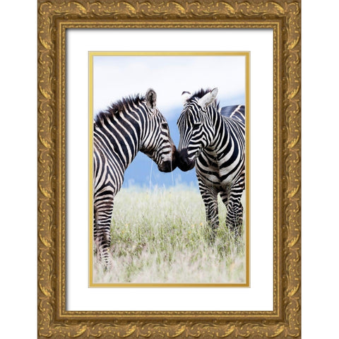 African Affection Gold Ornate Wood Framed Art Print with Double Matting by Delimont, Danita