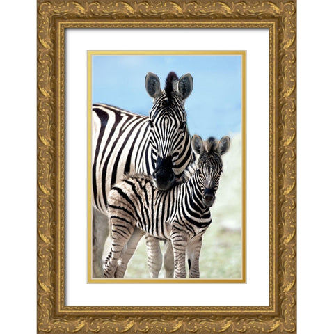 Family of Namibia Gold Ornate Wood Framed Art Print with Double Matting by Delimont, Danita