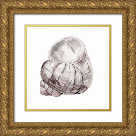 Blush Shell III Gold Ornate Wood Framed Art Print with Double Matting by Robinson, Carol